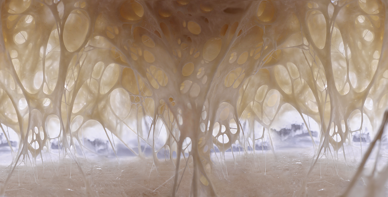 鬼才建筑师（图ZMzcyNjQxMTY4） - 美食摄影 - 站酷设计师YUM汤汤原创素材 - 站酷ZCOOL