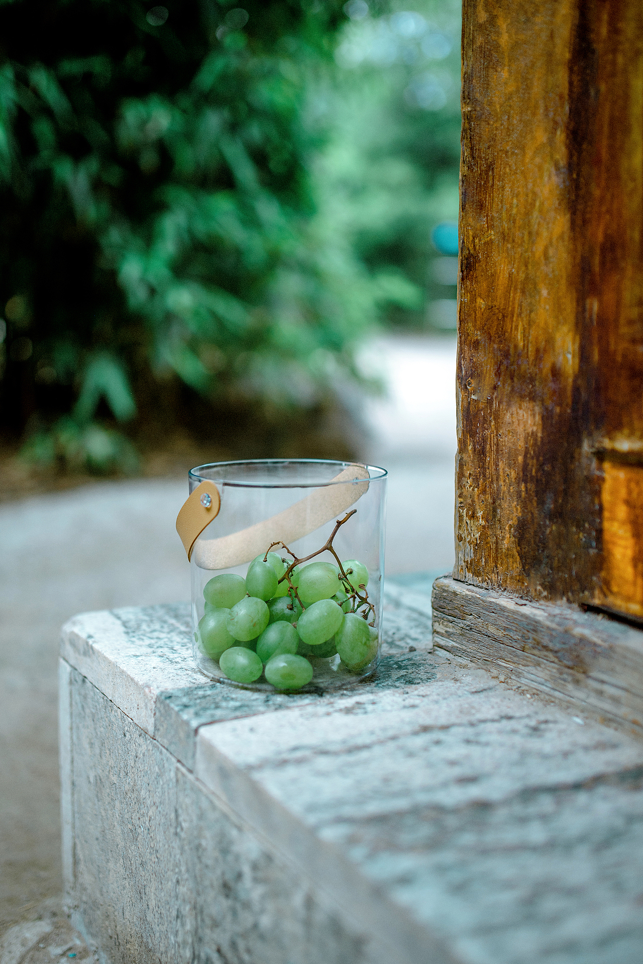 竹林（图ZMzcyNjk5NDM2） - 人像摄影 - 站酷设计师大卫009原创素材 - 站酷ZCOOL