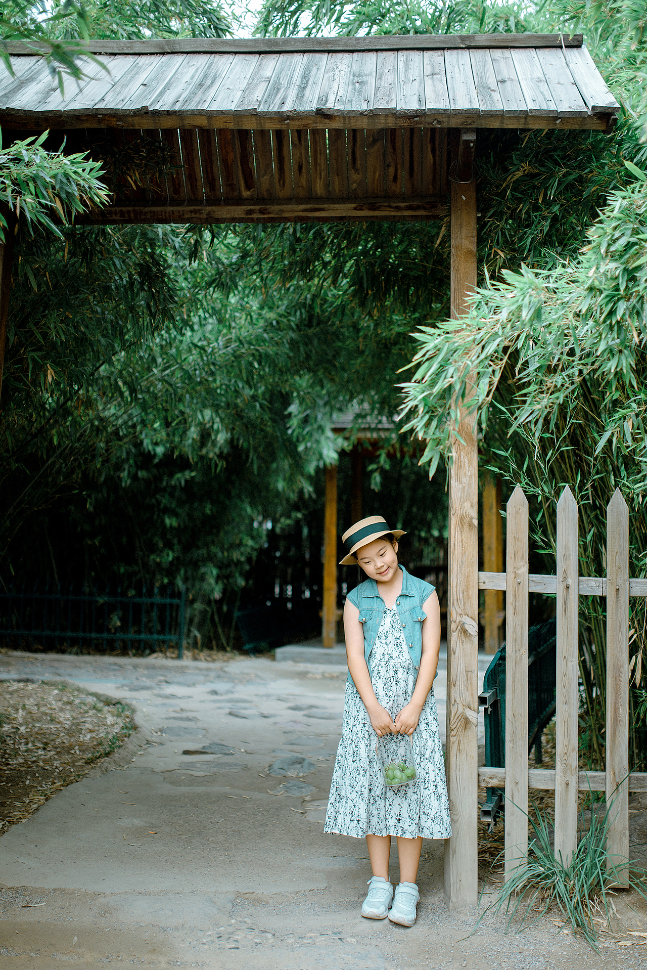 竹林（图ZMzcyNjk5NDcy） - 人像摄影 - 站酷设计师大卫009原创素材 - 站酷ZCOOL