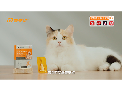 普安特宠物药丨爱滴克外驱药广告片（个人主页-ZNjkwMTQyMDQ=） - 短片 - 站酷设计师choiiii原创素材 - 站酷ZCOOL