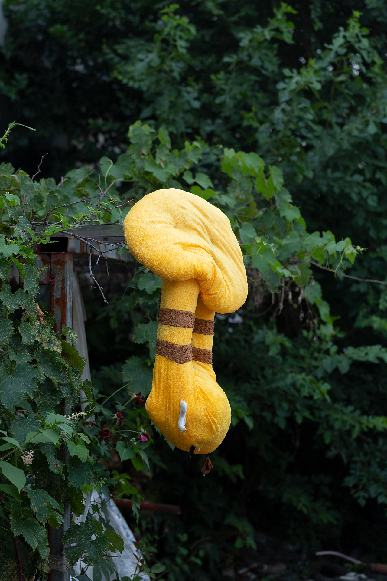 2024年二季度之———食品。我喜欢拍照，我爱说实话！