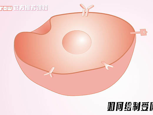 Sci科研制图 | 如何用maya画细胞膜表面的受体