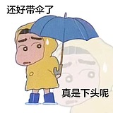 Z555056648的头像
