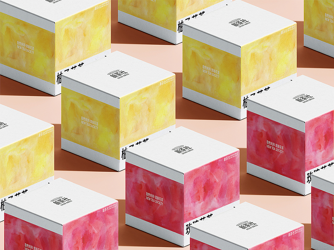 新茶社花茶包装设计提案