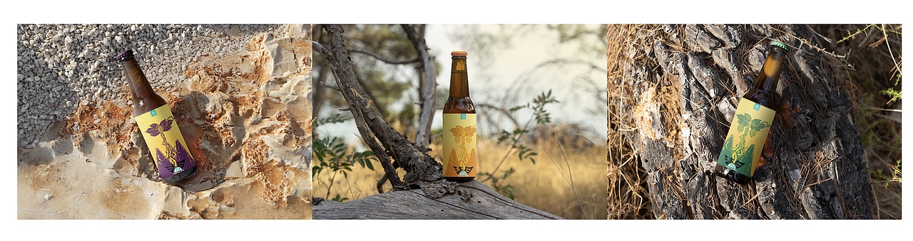 沐日啤酒包装设计