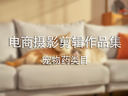 广州威诺动物药业丨工作成果丨工作业绩