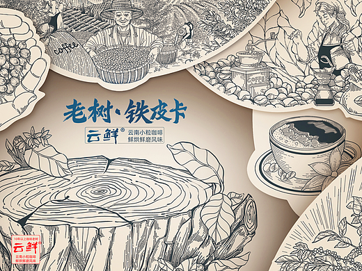 挂耳咖啡包装设计：云鲜·老树铁皮卡