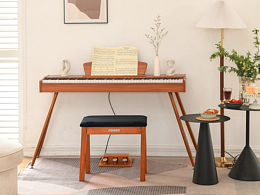 乐器类目——木纹电钢