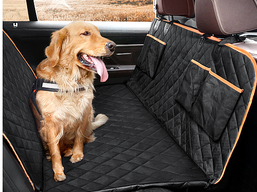 2020-2022亚马逊作品合集