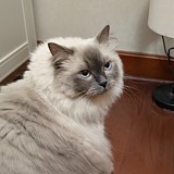 ___June的头像
