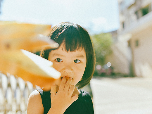 盛夏日记