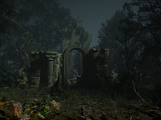 Forest Ruins