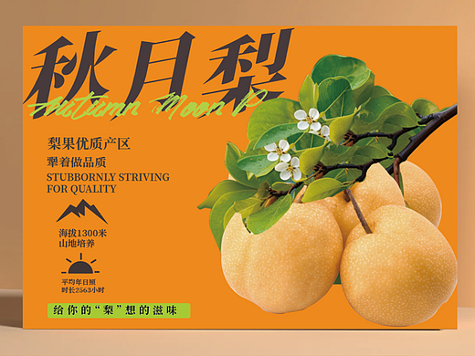 秋月梨包装设计