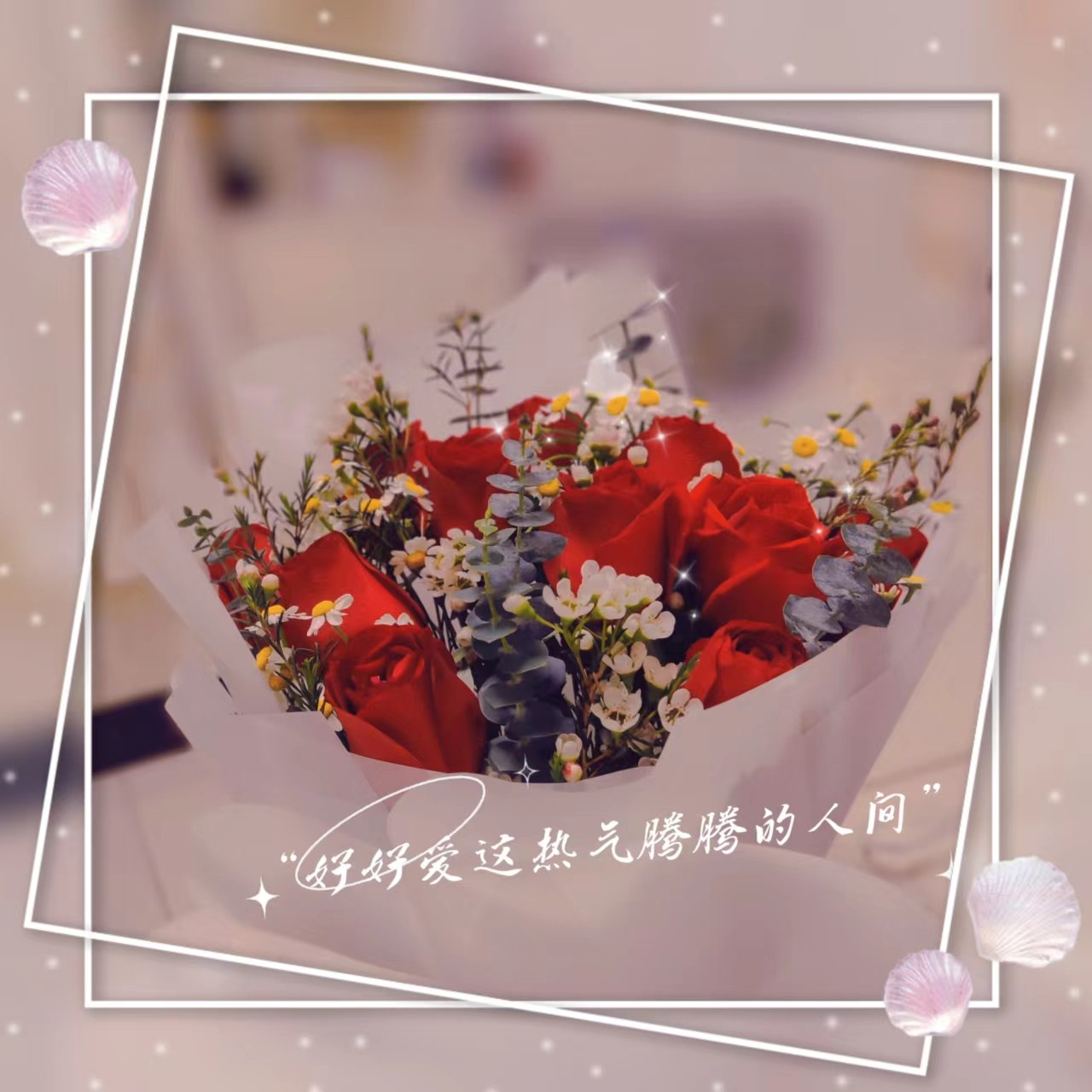 爱喝热苏打的猫的个人主页（背景预览） - 主页背景设置 - 站酷设计师爱喝热苏打的猫原创素材 - 站酷ZCOOL