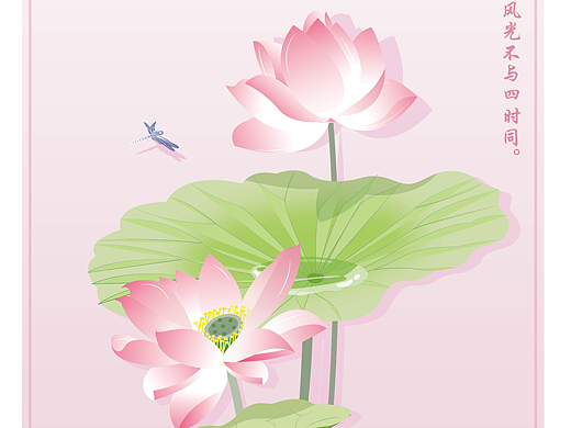 新中式之荷花 插画
