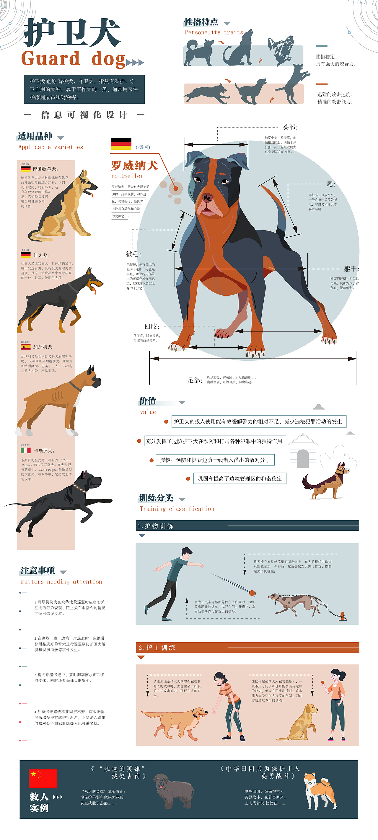 ”犬心犬意“之职业犬信息可视化设计(图ZMzcyODU1OTQ0) - 信息图表 - 站酷设计师至优设计工作室原创素材 - 站酷ZCOOL