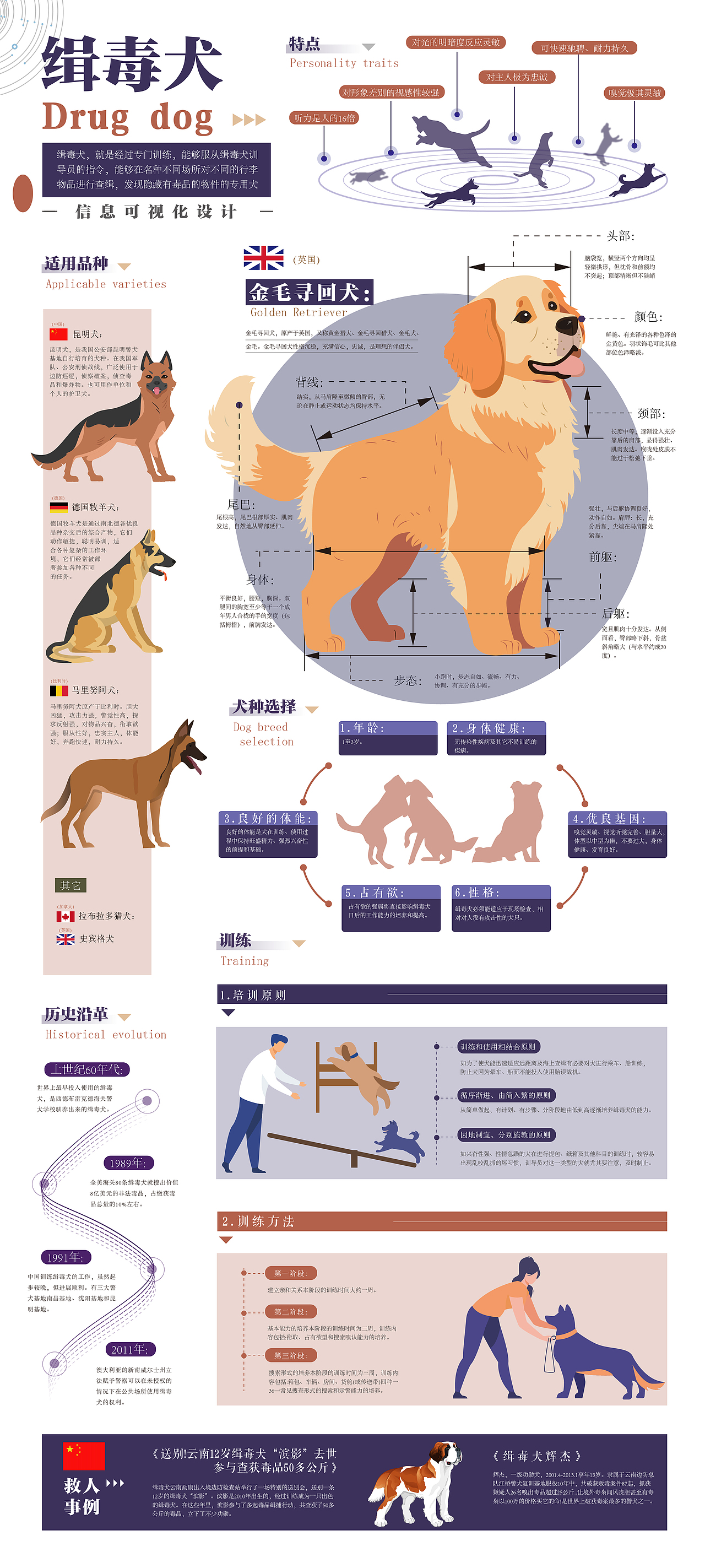 ”犬心犬意“之职业犬信息可视化设计(图ZMzcyODU1OTYw) - 信息图表 - 站酷设计师至优设计工作室原创素材 - 站酷ZCOOL