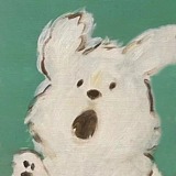 芬兰稿的头像