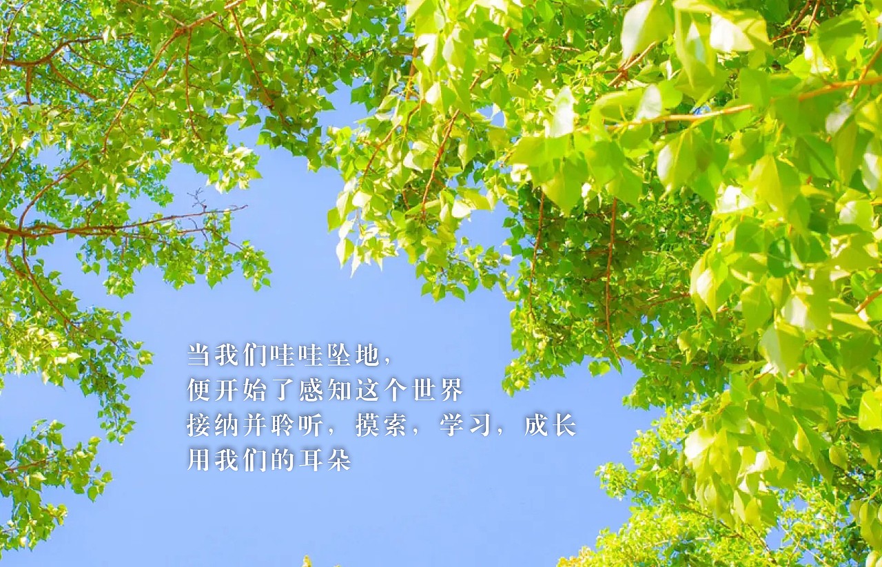 一附小三江口校区校园导视系统设计方案