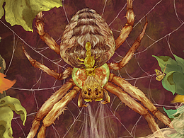 《奇幻生境》系列插画之一|蛛