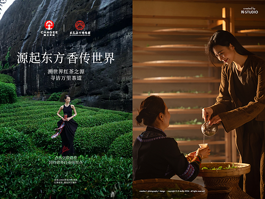 茶文化拍摄 / 霸王茶姬武夷山红茶溯源拍摄