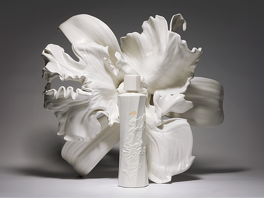 009（個(gè)人主頁-ZNjkwNDgwMDQ=） - 產(chǎn)品攝影 - 站酷設(shè)計(jì)師北京野馬視覺原創(chuàng)素材 - 站酷ZCOOL