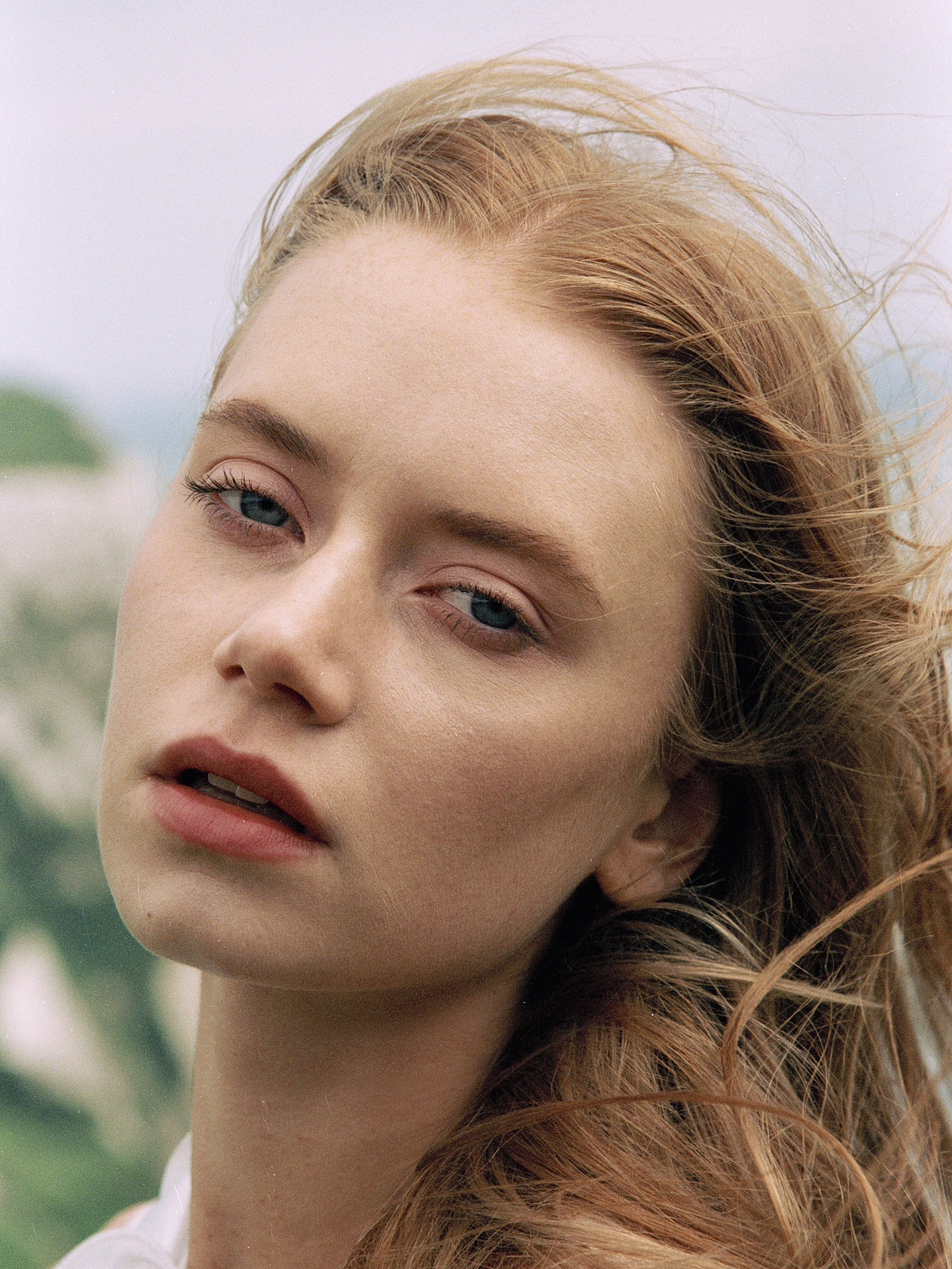 风说了许多,把夏天注得盈满。