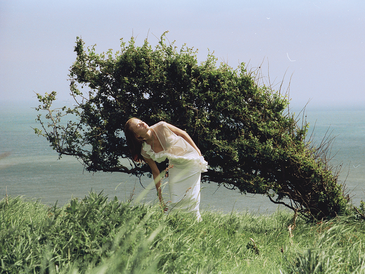 风说了许多,把夏天注得盈满。