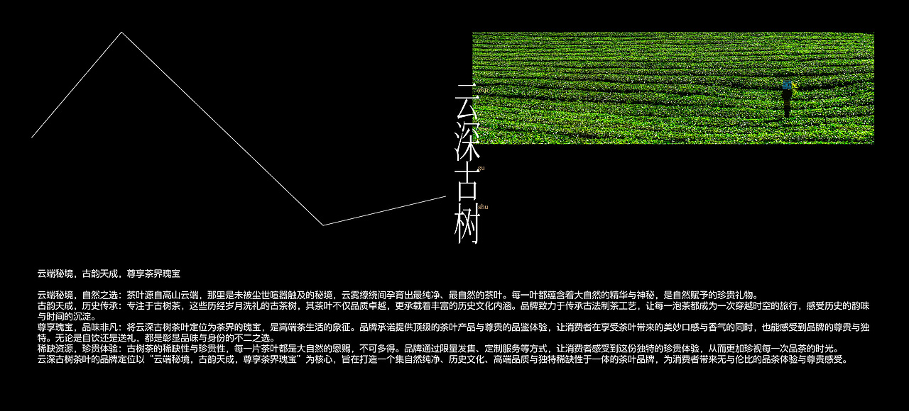 云深古树茶品牌包装设计(图ZMzczMDQyMTIw) - 包装 - 站酷设计师青轶设计原创素材 - 站酷ZCOOL
