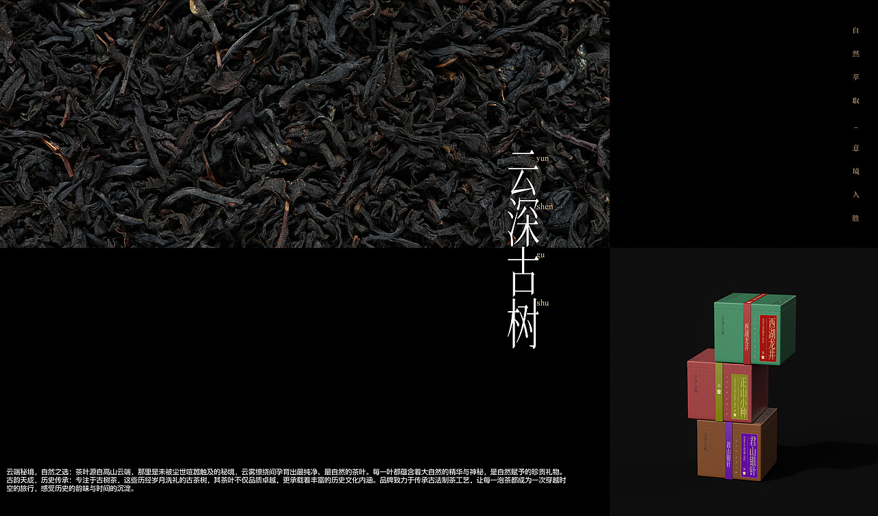 云深古树茶品牌包装设计(图ZMzczMDQyMTAw) - 包装 - 站酷设计师青轶设计原创素材 - 站酷ZCOOL