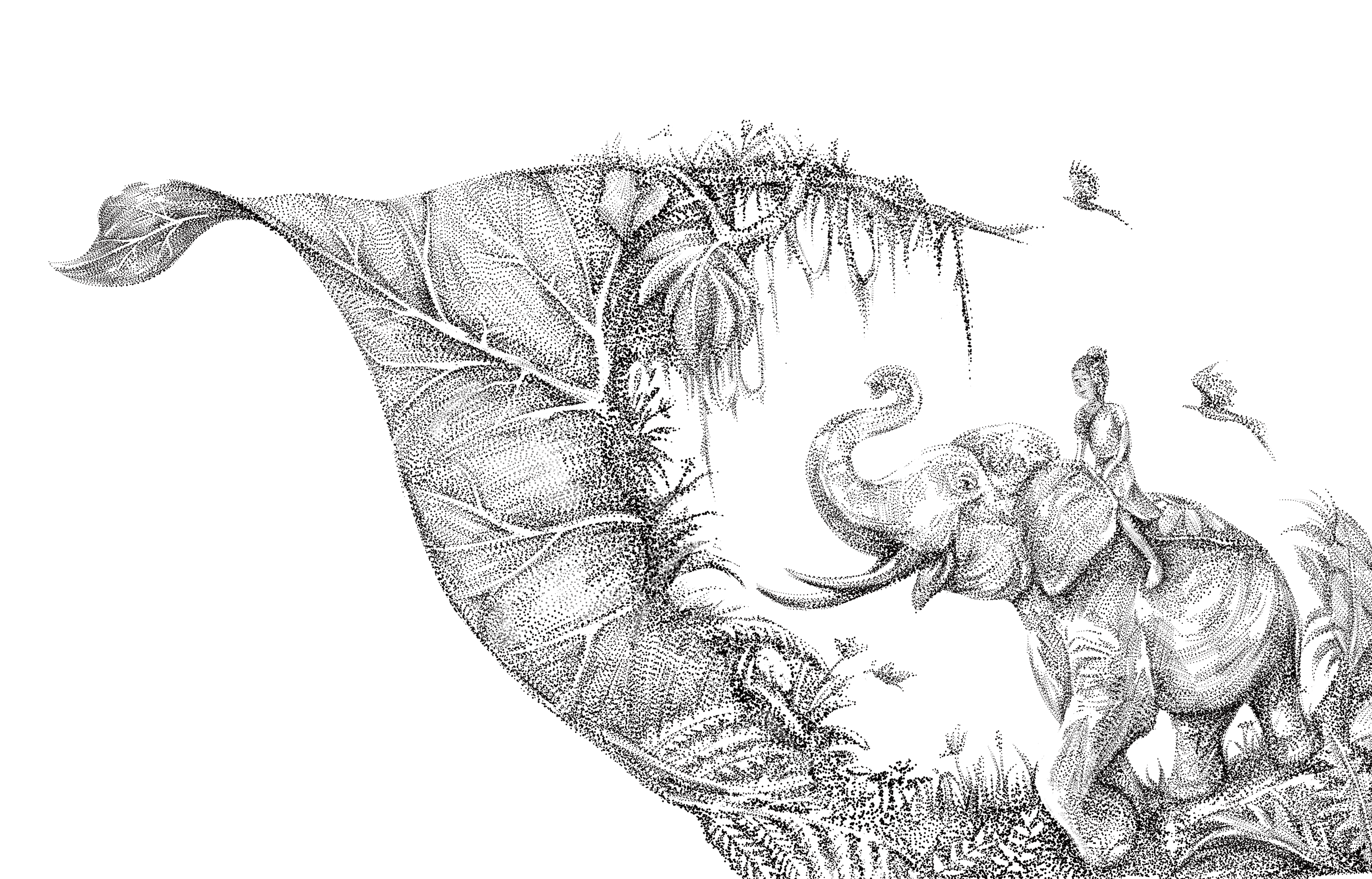 （雪莲-茶叶）素描，点画合集（图ZMzczMDQ1NDgw） - 商业插画 - 站酷设计师嘛啦个巴子原创素材 - 站酷ZCOOL