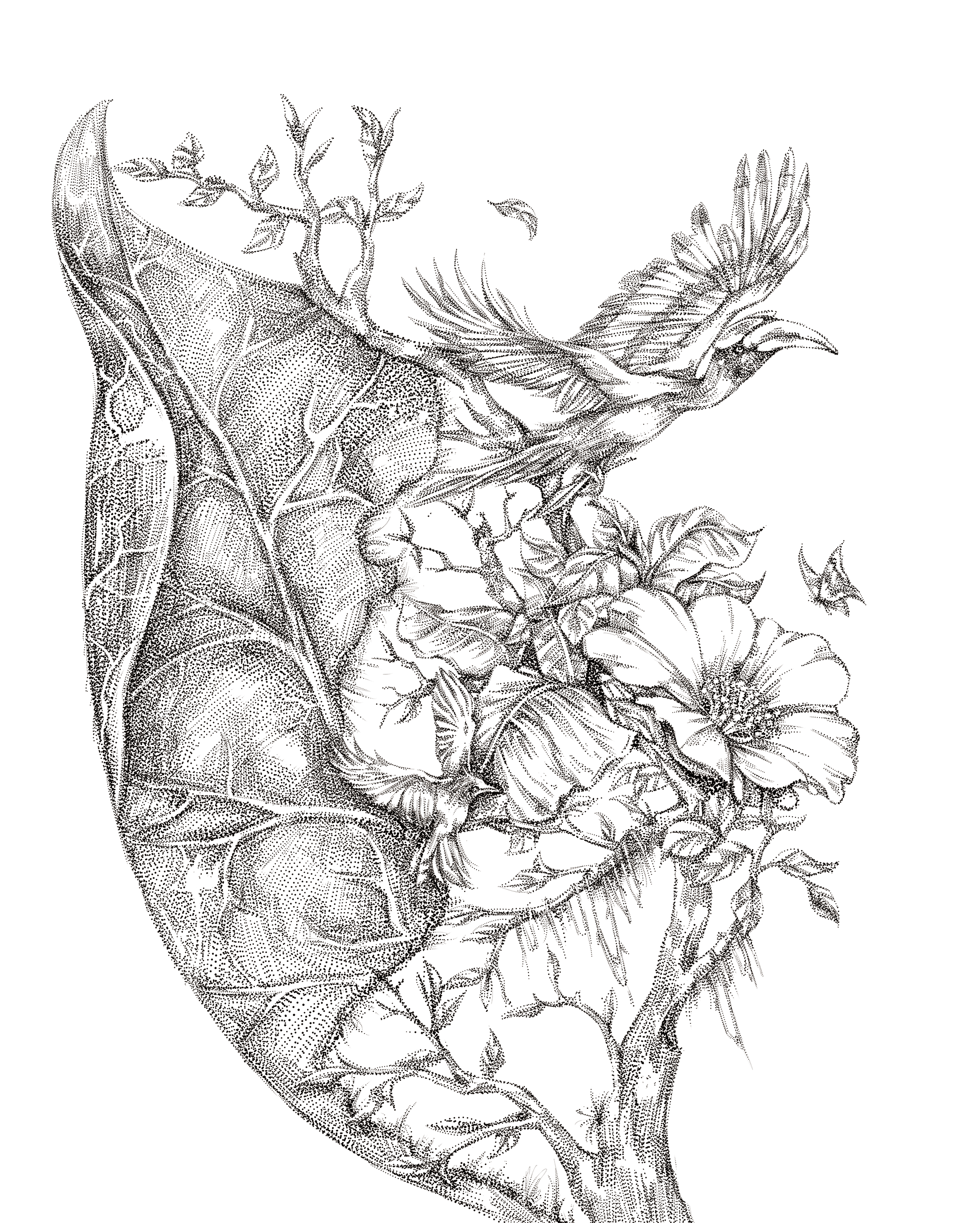 (雪莲-茶叶)素描,点画合集(图ZMzczMDQ1NDg0) - 商业插画 - 站酷设计师嘛啦个巴子原创素材 - 站酷ZCOOL