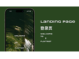 登录页landing page