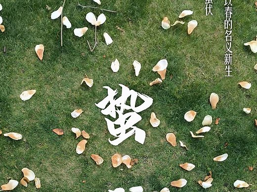 练习-校园节气海报