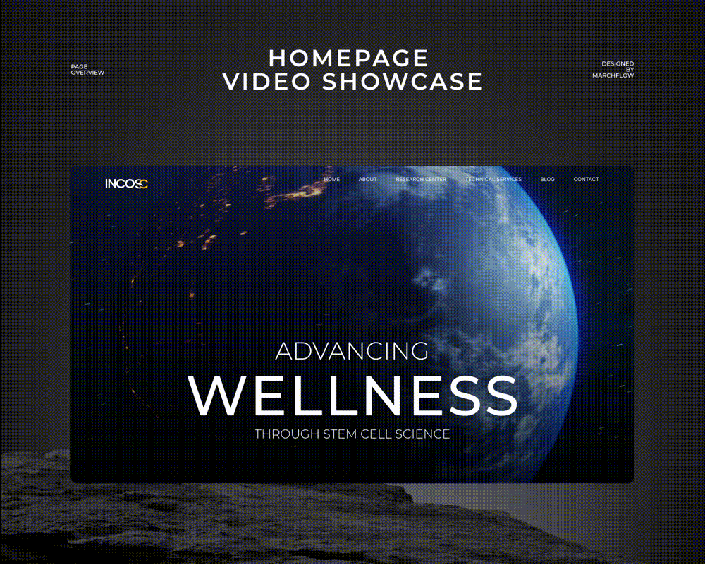 国际干细胞联合研究中心 官网设计 INCOSC x MARCHFLOW（图ZMzczMDcyOTgw） - 企业官网 - 站酷设计师marchflow原创素材 - 站酷ZCOOL