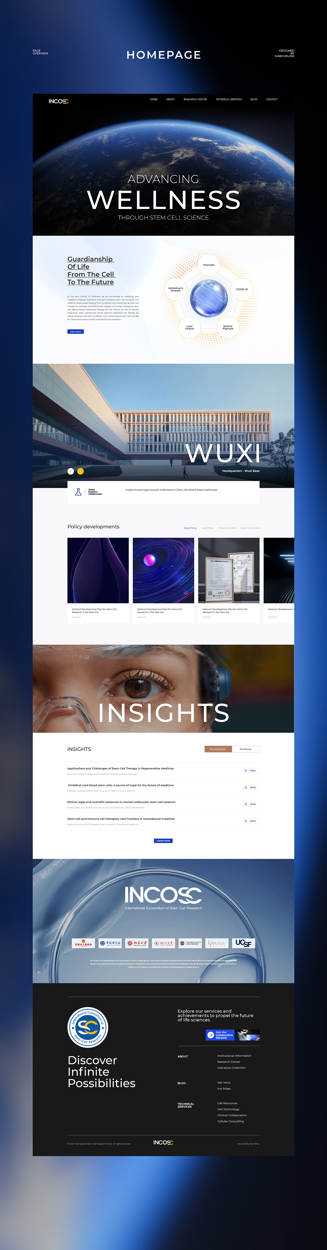 国际干细胞联合研究中心 官网设计 INCOSC x MARCHFLOW（图ZMzczMDcyOTg4） - 企业官网 - 站酷设计师marchflow原创素材 - 站酷ZCOOL