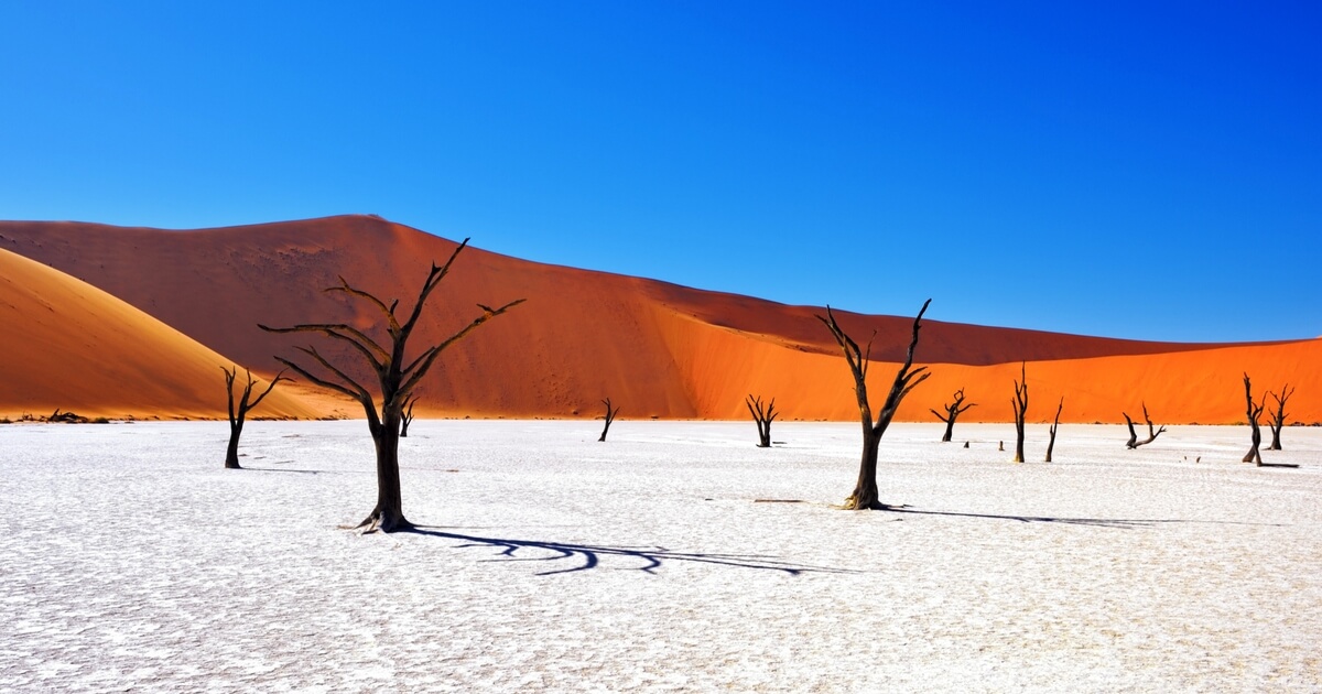 脆皮鸡饭的个人主页（背景预览） - 主页背景设置 - 站酷设计师脆皮鸡饭原创素材 - 站酷ZCOOL