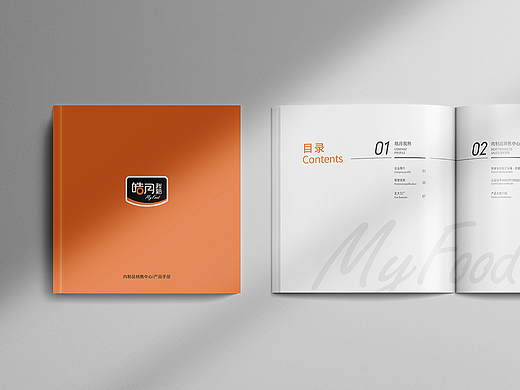 Brand Brochures | 企业画册 | 品牌手册