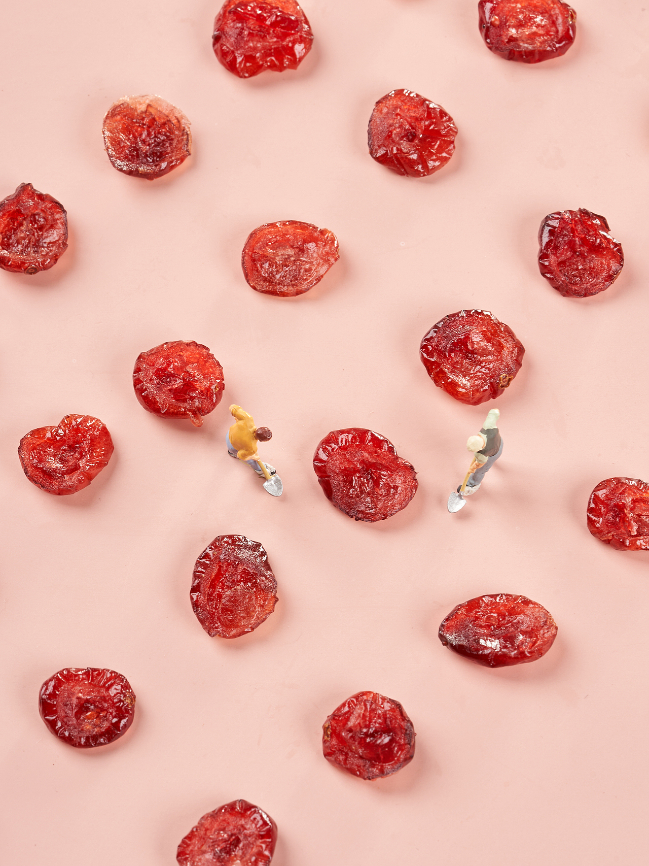 蔓越莓|美食拍摄