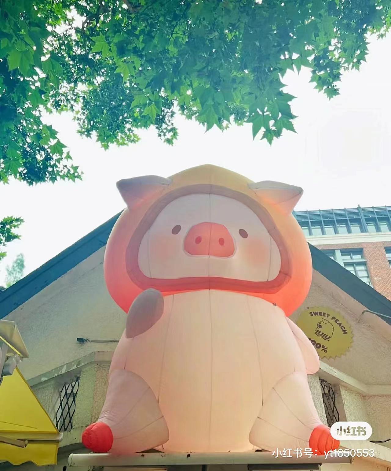 大明气模——lulu桃