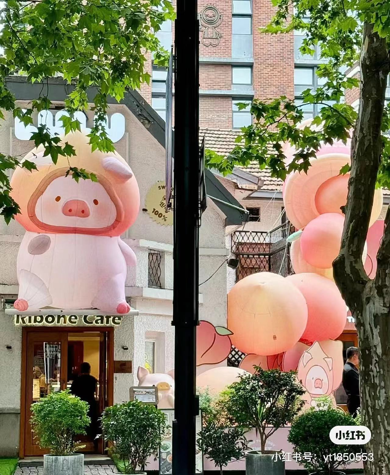 大明气模——lulu桃