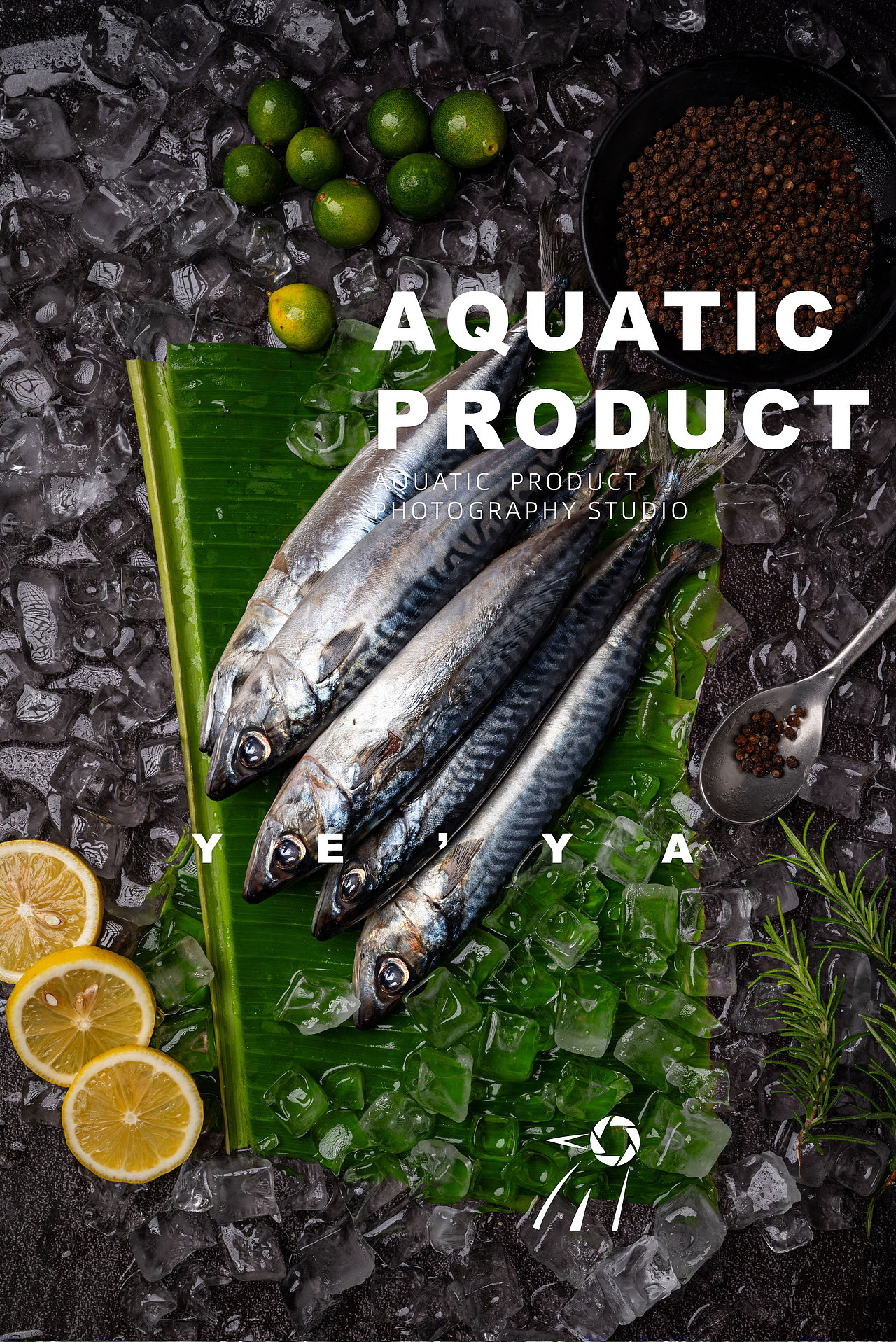 海鲜水产品冷冻农产品鱼类拍摄