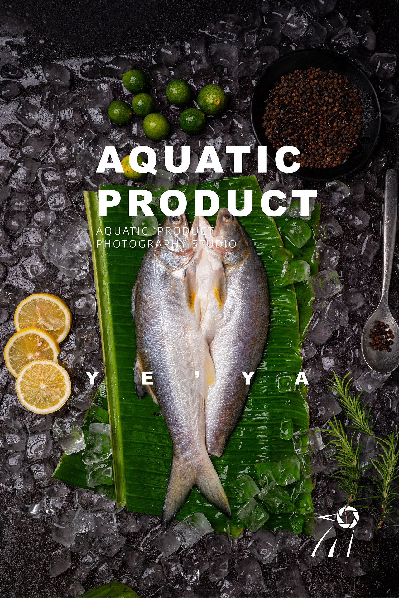 海鲜水产品冷冻农产品鱼类拍摄