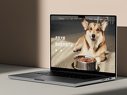 品牌官网改版——博美食品