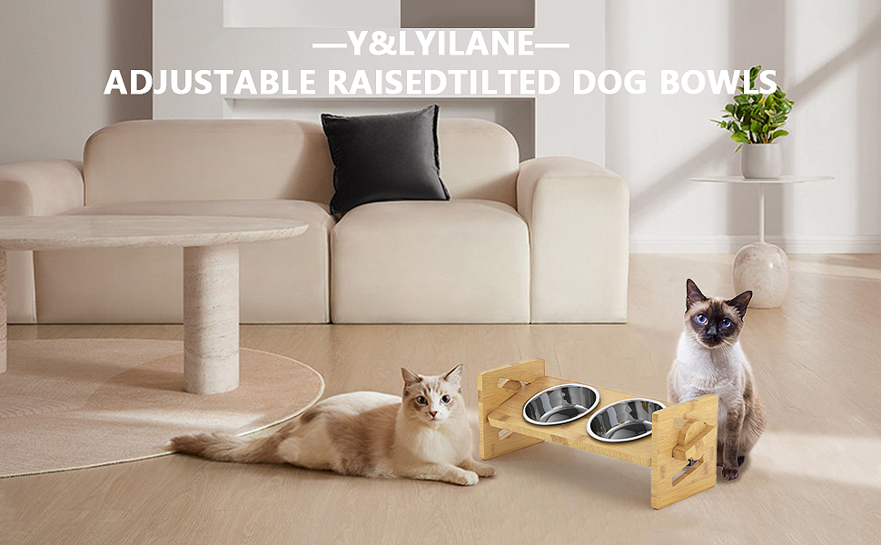 宠物餐具亚马逊设计（图ZMzczMjExMzQw） - 宣传物料 - 站酷设计师龙魂文创设计原创素材 - 站酷ZCOOL