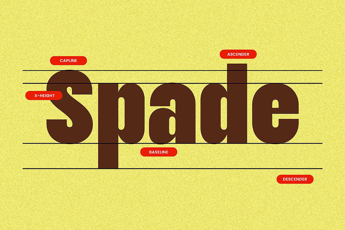 复古浓缩粗体字时尚广告海报封面标题无衬线英文字体