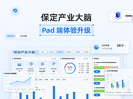 政务