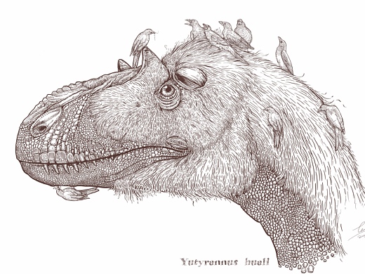 动物插画《华丽羽王龙》