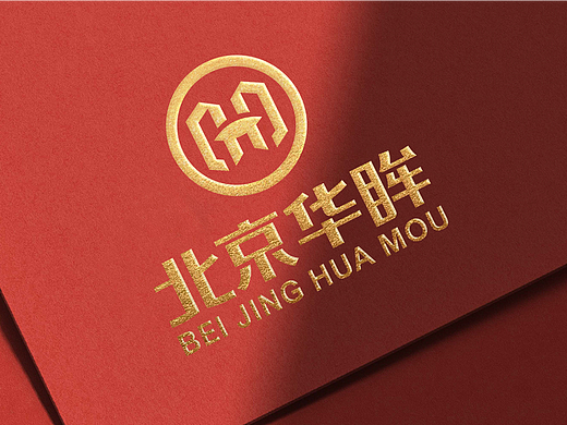 北京华眸｜眼科logo 眼科品牌设计VI设计视力logo门诊