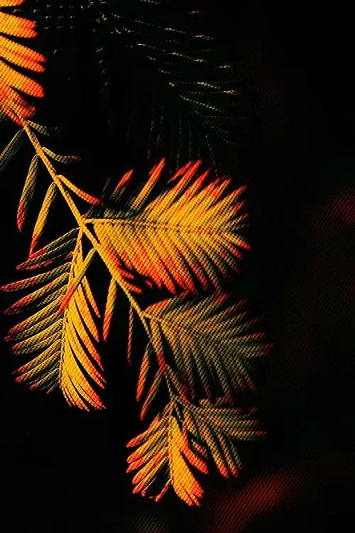 AI能否取代摄影？人类的摄影，还有意义吗？